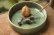 画像1: 馬渡新平　緑ヒビ粉引き　平鉢６寸 (1)