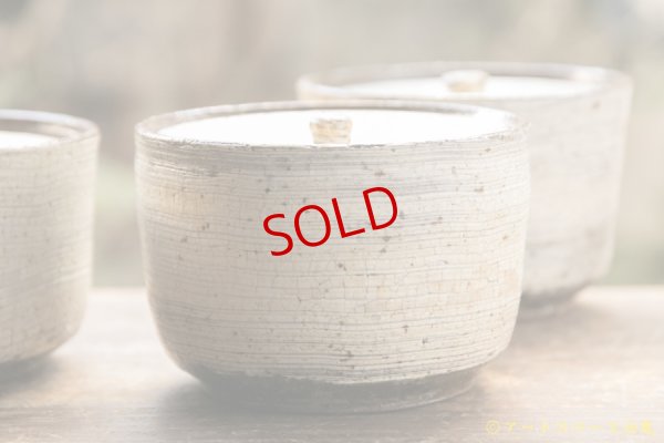 画像2: 馬渡新平　刷毛目白　フタモノ【アソート作品】