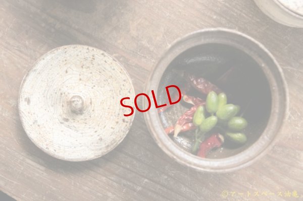 画像6: 馬渡新平　刷毛目白　フタモノ【アソート作品】