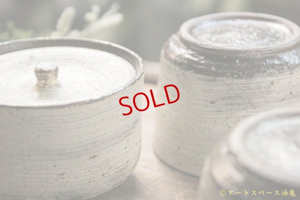 画像11: 馬渡新平　刷毛目白　フタモノ【アソート作品】