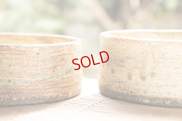 画像7: 馬渡新平　刷毛目　黄　平鉢６寸【アソート作品】