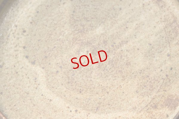 画像7: 馬渡新平　ヒビ粉引き　平皿８寸【アソート作品】