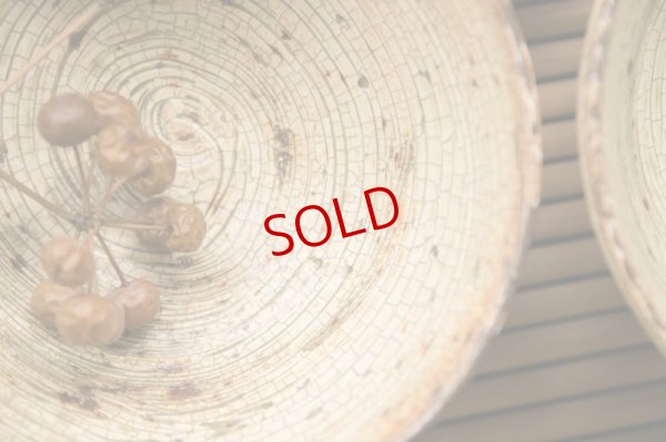 画像11: 馬渡新平　刷毛目　黄　めし碗（中）【アソート作品】