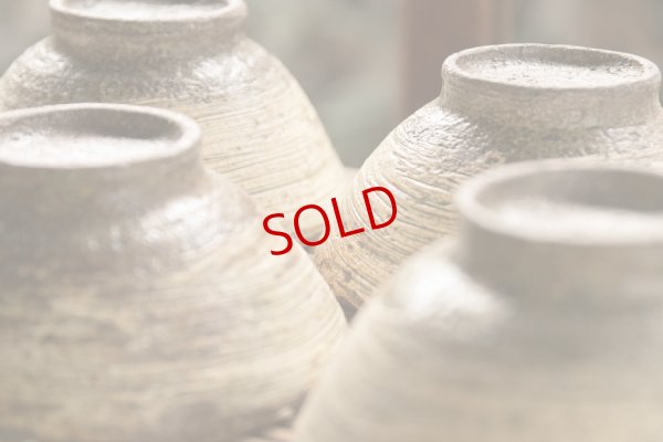 画像17: 馬渡新平　刷毛目　黄　めし碗（中）【アソート作品】