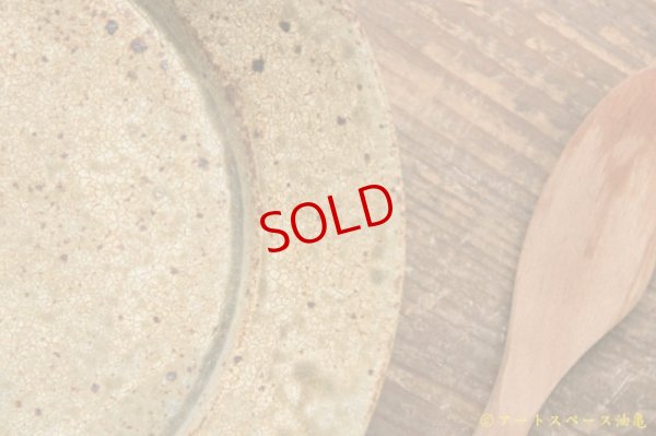 画像5: 馬渡新平　ヒビ粉引き　リム皿２０ｃｍ