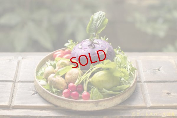 画像2: 馬渡新平　ヒビ粉引き　平皿８寸【アソート作品】