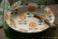 画像2: ヒヅミ峠舎　三浦圭司・三浦アリサ　色絵たんぽぽ文楕円皿 (2)