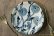 画像2: ヒヅミ峠舎　三浦圭司・三浦アリサ　染付たんぽぽ文4.5寸リム皿 (2)
