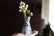 画像1: ヒヅミ峠舎　三浦圭司・三浦アリサ　染付たんぽぽ文カラフェ型花器 (1)