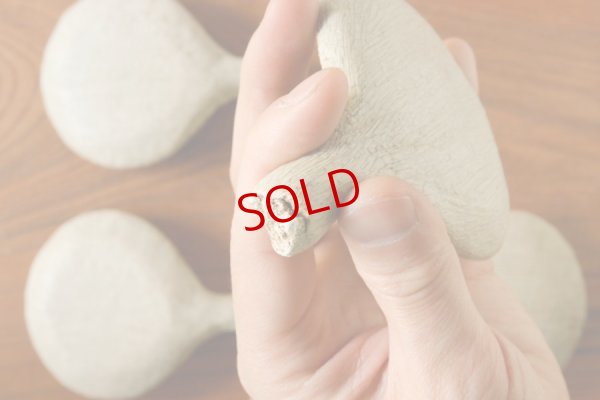 画像7: ミヤチヤスヨ「枝葉皿　キナリ」【アソート作品】