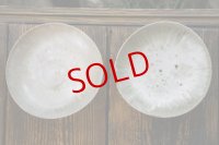 三好敦子　灰釉7寸鉢（マキ）