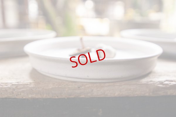 画像8: 夏草　マット釉　灰水　７．５寸深皿