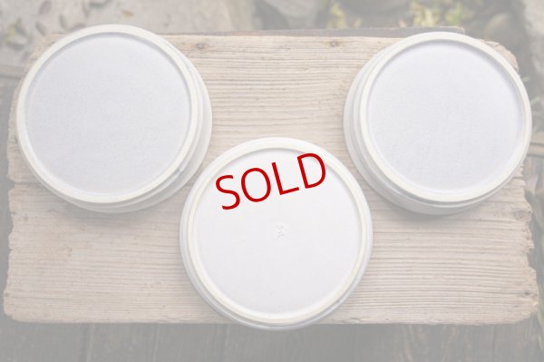 画像9: 夏草　マット釉　灰水　７．５寸深皿