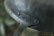画像12: あけがね工作研究所　Ｐａｎ３０ｃｍ【アートスペース油亀オリジナル】【受注生産商品】 (12)
