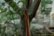 画像9: 奥山泉　木のスプーン　手（約17.0〜21.0cm）【アソート作品】 (9)