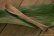 画像5: 奥山泉　木のスプーン　ねこ　ひげあり（約17.0〜18.0cm）【アソート作品】