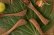画像1: 奥山泉　木のスプーン　とり（約18.0〜20.0cm）【アソート作品】 (1)