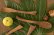 画像2: 奥山泉　木のスプーン　ねこ　ひげあり（約17.0〜18.0cm）【アソート作品】 (2)