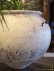 画像14: 大澤哲哉　大甕（白）large earthenware pot   white