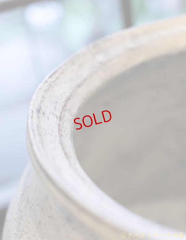 画像5: 大澤哲哉　大甕（白）large earthenware pot   white