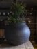 画像8: 大澤哲哉　大甕（黒）large earthenware pot   black