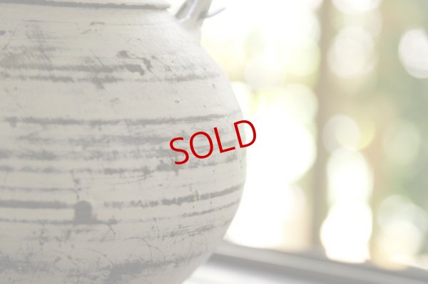 画像3: 大澤哲哉　Pot  白 white