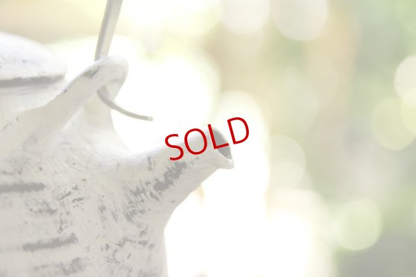 画像6: 大澤哲哉　Pot  白 white