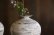 画像8: 大澤哲哉　Vase（小）白 （small）white