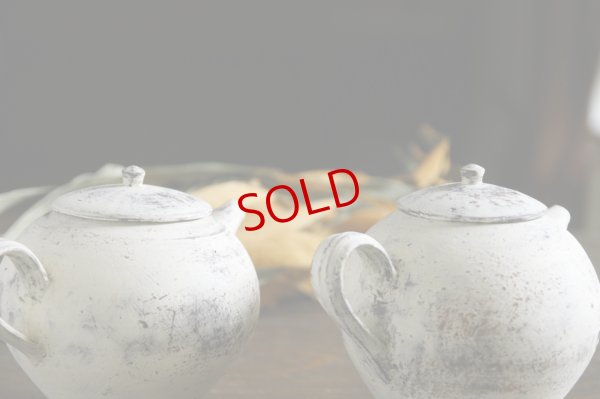 画像6: 大澤哲哉　Pot  白 white