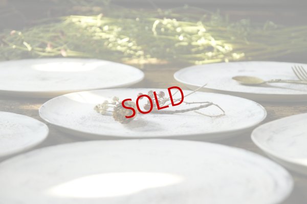 画像2: 大澤哲哉　Flat plate L 白【アソート作品】