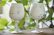 画像3: 大澤哲哉　ワイングラス　白　Wine glass white