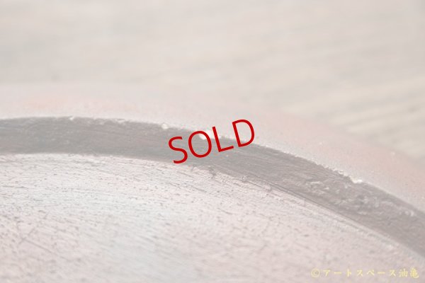 画像4: 大澤哲哉　Flat plate L　赤【アソート作品】