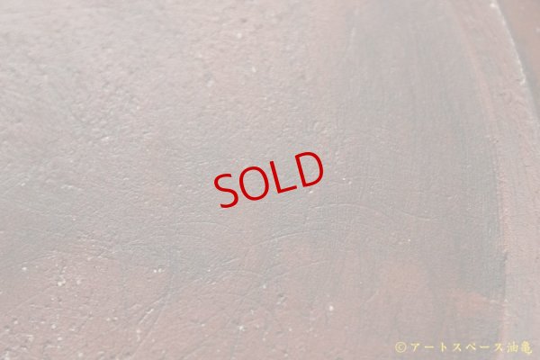 画像7: 大澤哲哉　Flat plate L　赤【アソート作品】