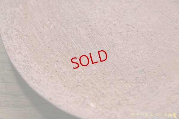 画像4: 大澤哲哉　Flat plate SS　赤【アソート作品】