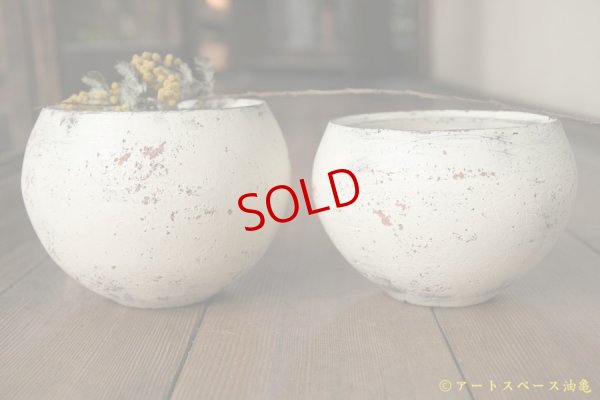 画像5: 大澤哲哉　植木鉢(丸型)　白