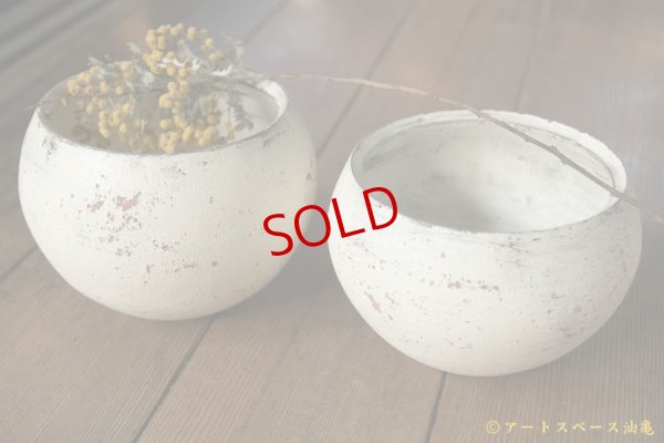 画像6: 大澤哲哉　植木鉢(丸型)　白