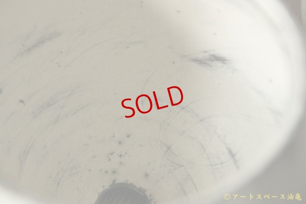 画像7: 大澤哲哉　植木鉢(丸型)　白