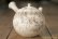 画像6: 大澤哲哉　Tea pot（急須）　白 (6)
