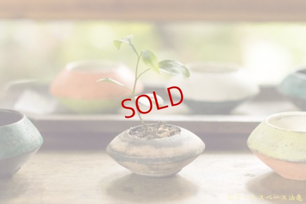 画像9: 大澤哲哉　豆鉢