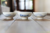 大園篤志　茶碗　絵付