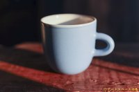 大園篤志　Uマグ　ブルー