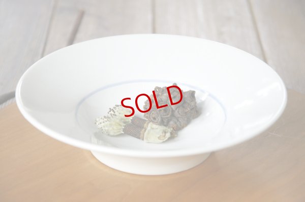 画像1: 大園篤志　スープ皿　絵付【アソート作品】