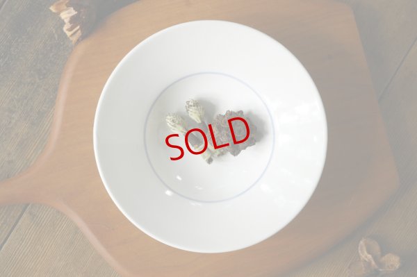 画像3: 大園篤志　スープ皿　絵付【アソート作品】