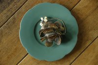 大園篤志　輪花皿　八　小　グリーン【アソート作品】