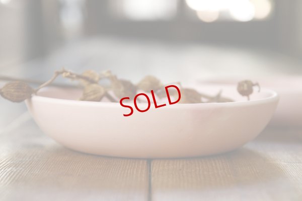 画像2: 大園篤志　6寸浅平鉢　ピンク【アソート作品】