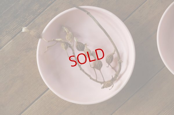 画像4: 大園篤志　6寸浅平鉢　ピンク【アソート作品】