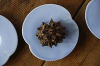 大園篤志　豆輪花皿　二　ブルー【アソート作品】