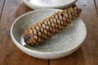 大園篤志　5寸浅平鉢　墨貫入【アソート作品】