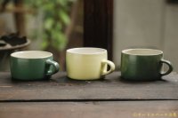 大園篤志　低マグ　小　グリーン／イエロー