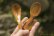 画像1: PORD HAND WORKS　Driftwood spoon (1)